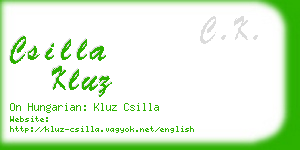 csilla kluz business card